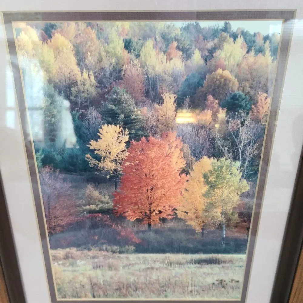 Vintage Autumn Fall Photography Wall Hanging Framed and Matted J Palmer 1988